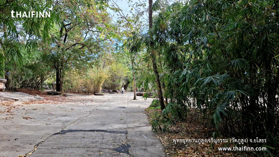 พุทธอุทยานภูสูงเจริญธรรม (วัดภูสูง) จังหวัดยโสธร)