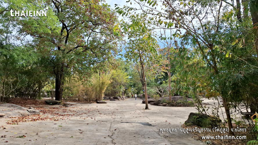 พุทธอุทยานภูสูงเจริญธรรม (วัดภูสูง) จังหวัดยโสธร