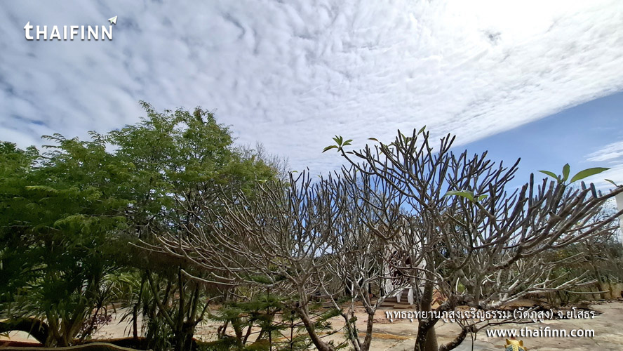 พุทธอุทยานภูสูงเจริญธรรม (วัดภูสูง) จังหวัดยโสธร