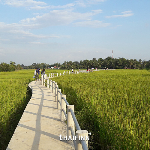 ขัวน้อยบ้านชีทวน จ.อุบลราชธานี